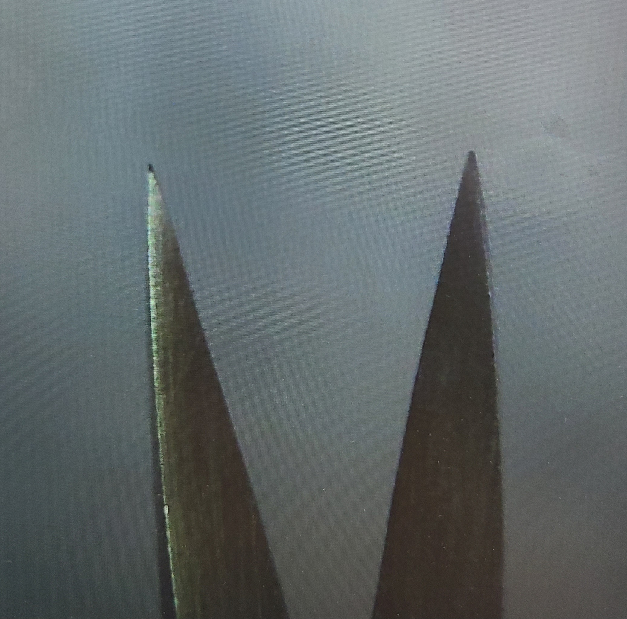 수리 후